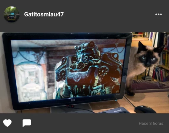 Teamsmaker - Publicación 3